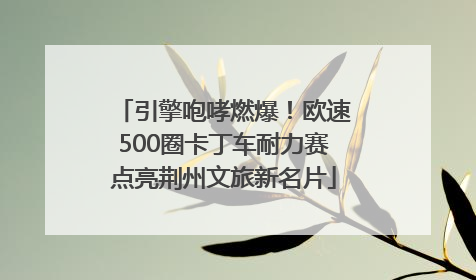 引擎咆哮燃爆！欧速500圈卡丁车耐力赛点亮荆州文旅新名片