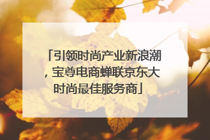 引领时尚产业新浪潮，宝尊电商蝉联京东大时尚最佳服务商