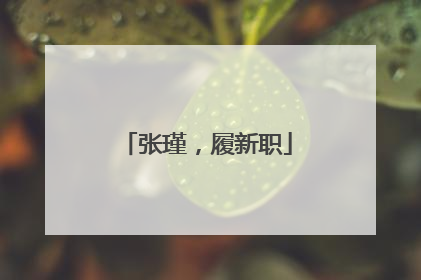 张瑾，履新职