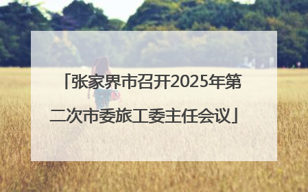 张家界市召开2025年第二次市委旅工委主任会议