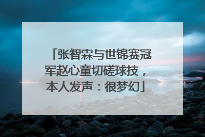 张智霖与世锦赛冠军赵心童切磋球技，本人发声：很梦幻