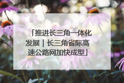 推进长三角一体化发展｜长三角省际高速公路网加快成型