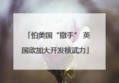 怕美国“撒手” 英国欲加大开发核武力