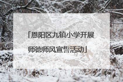 恩阳区九镇小学开展师德师风宣誓活动