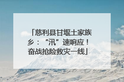 慈利县甘堰土家族乡：“汛”速响应！奋战抢险救灾一线