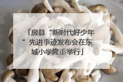房县“新时代好少年”先进事迹发布会在东城小学隆重举行