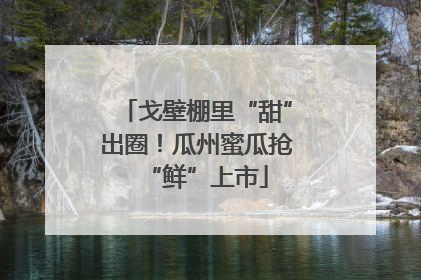 戈壁棚里“甜”出圈！瓜州蜜瓜抢“鲜”上市