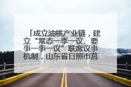 成立油桃产业链，建立“常态一季一议、要事一事一议”联席议事机制，山东省日照市莒县果庄镇——13个党小组“全周期”育果