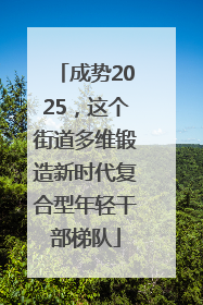 成势2025，这个街道多维锻造新时代复合型年轻干部梯队