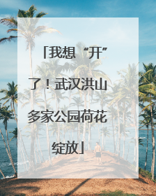 我想“开”了！武汉洪山多家公园荷花绽放