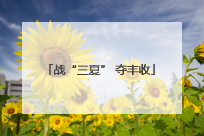 战“三夏” 夺丰收