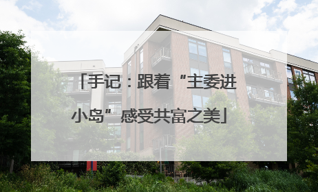 手记：跟着“主委进小岛”感受共富之美