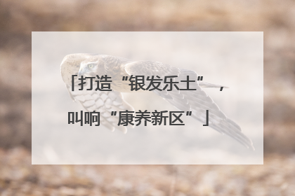 打造“银发乐土”，叫响“康养新区”