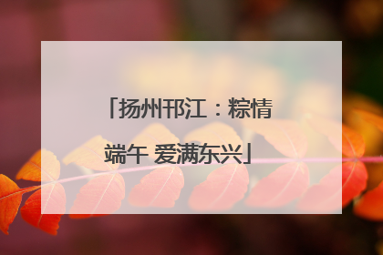 扬州邗江：粽情端午 爱满东兴