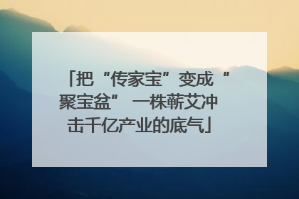 把“传家宝”变成“聚宝盆” 一株蕲艾冲击千亿产业的底气