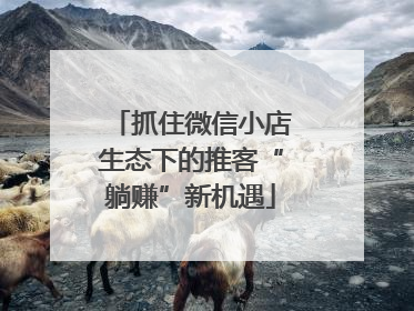 抓住微信小店生态下的推客“躺赚”新机遇