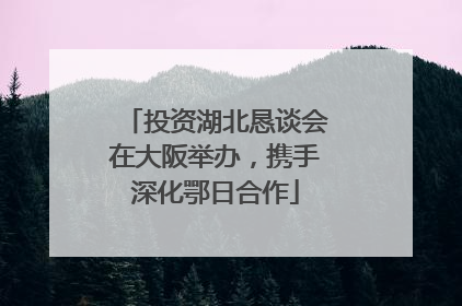 投资湖北恳谈会在大阪举办，携手深化鄂日合作