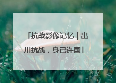 抗战影像记忆｜出川抗战，身已许国
