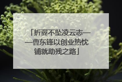 折翼不坠凌云志——曹东锋以创业热忱铺就助残之路