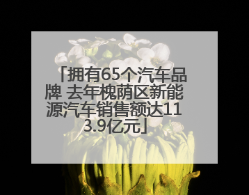 拥有65个汽车品牌 去年槐荫区新能源汽车销售额达113.9亿元