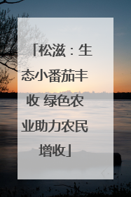 松滋：生态小番茄丰收 绿色农业助力农民增收
