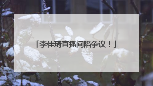 李佳琦直播间陷争议！