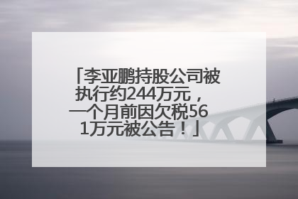 李亚鹏持股公司被执行约244万元，一个月前因欠税561万元被公告！