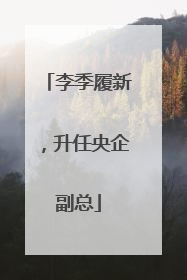 李季履新，升任央企副总