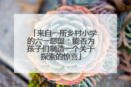 来自一所乡村小学的六一愿望：能否为孩子们制造一个关于探索的惊喜