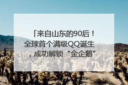 来自山东的90后！全球首个满级QQ诞生，成功解锁“金企鹅”，是继承父亲账号