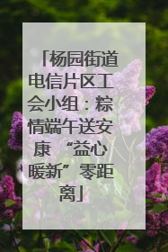 杨园街道电信片区工会小组：粽情端午送安康 “益心暖新”零距离