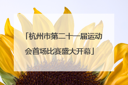 杭州市第二十一届运动会首场比赛盛大开幕
