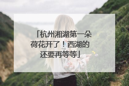 杭州湘湖第一朵荷花开了！西湖的还要再等等