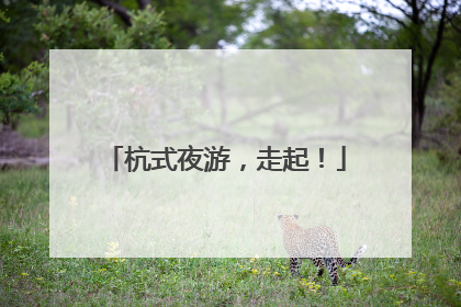 杭式夜游，走起！