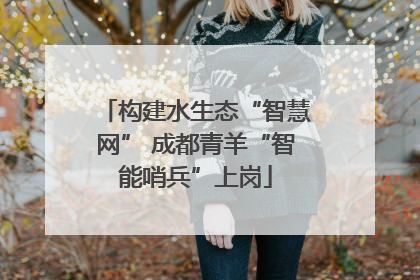 构建水生态“智慧网” 成都青羊“智能哨兵”上岗