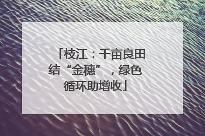 枝江：千亩良田结“金穗”，绿色循环助增收