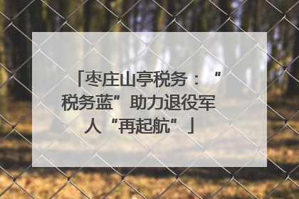 枣庄山亭税务：“税务蓝”助力退役军人“再起航”