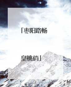 枣阳路畅皇桃俏