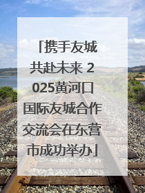 携手友城 共赴未来 2025黄河口国际友城合作交流会在东营市成功举办