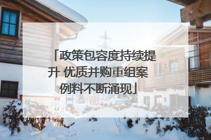 政策包容度持续提升 优质并购重组案例料不断涌现
