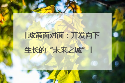 政策面对面：开发向下生长的“未来之城”