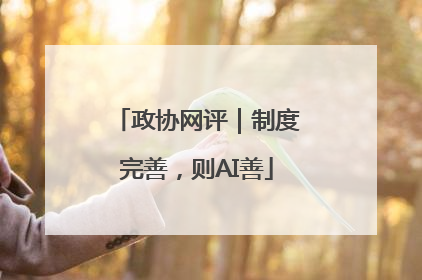 政协网评｜制度完善，则AI善