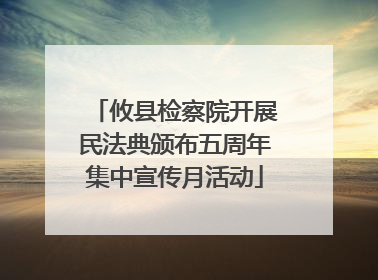 攸县检察院开展民法典颁布五周年集中宣传月活动