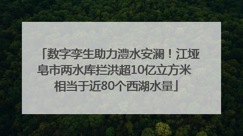 数字孪生助力澧水安澜！江垭皂市两水库拦洪超10亿立方米 相当于近80个西湖水量