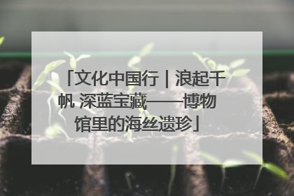 文化中国行｜浪起千帆 深蓝宝藏——博物馆里的海丝遗珍