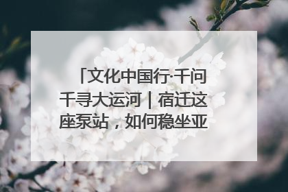 文化中国行·千问千寻大运河｜宿迁这座泵站，如何稳坐亚洲第一宝座？
