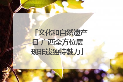 文化和自然遗产日 广西全方位展现非遗独特魅力