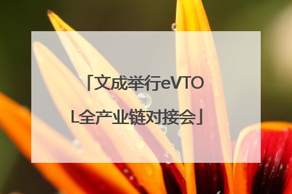 文成举行eVTOL全产业链对接会