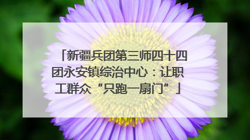 新疆兵团第三师四十四团永安镇综治中心：让职工群众“只跑一扇门”