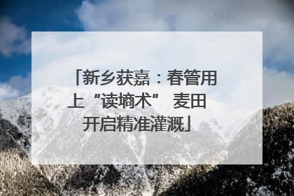 新乡获嘉：春管用上“读墒术” 麦田开启精准灌溉